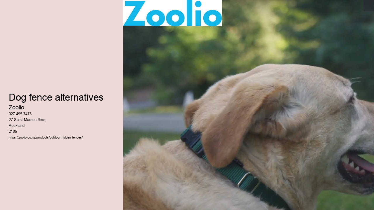 dog fence alternatives