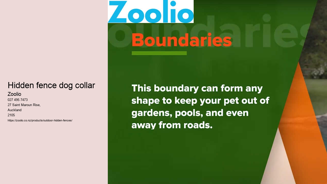 hidden fence dog collar